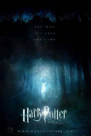 hp7.jpg
